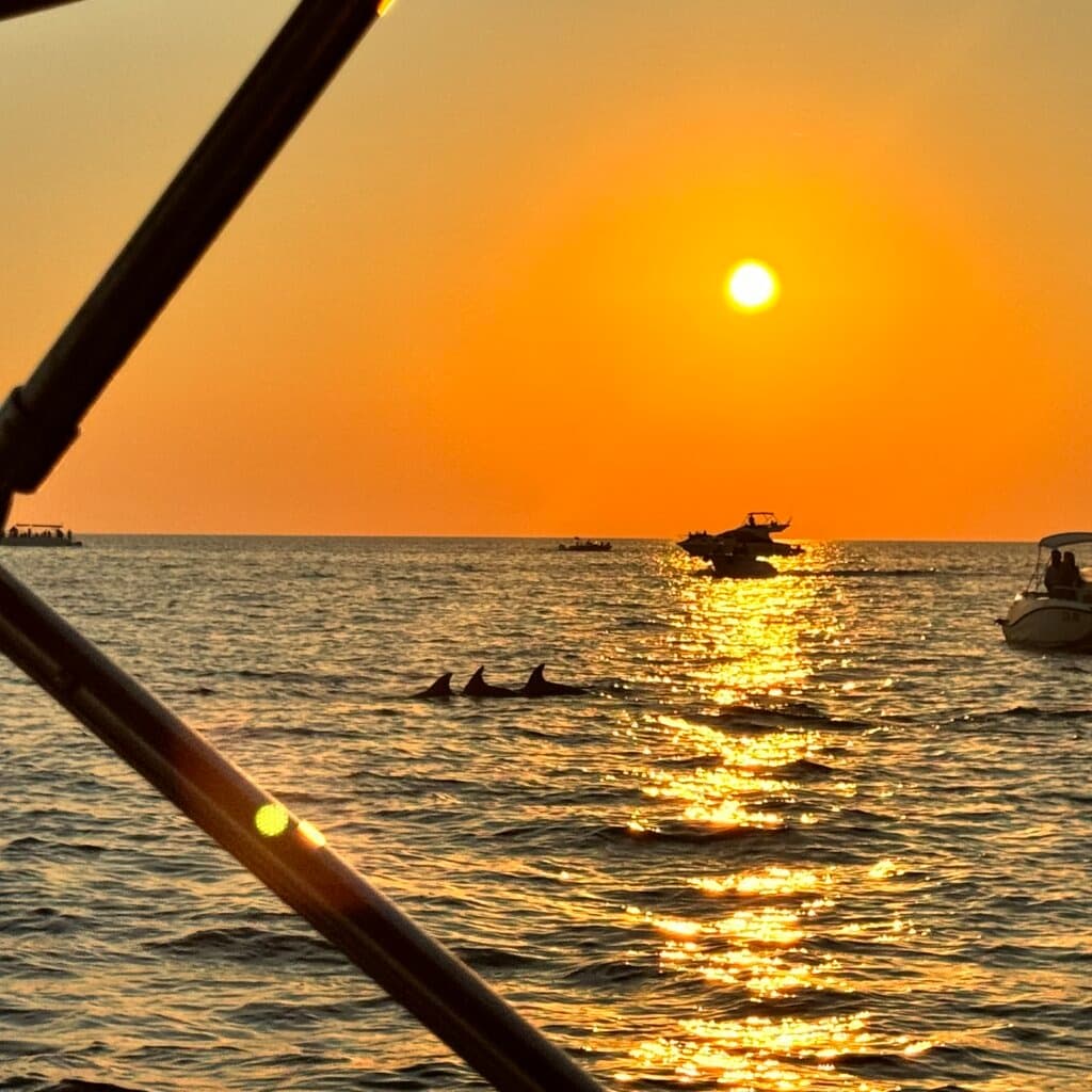 Sonnenuntergang mit Delfinen vor Poreč