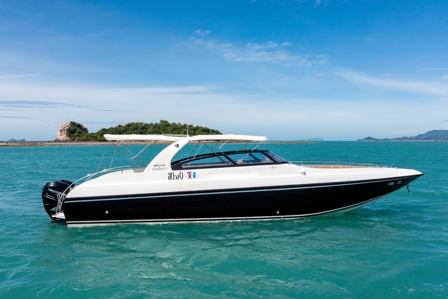 Speedboot für private Tour
